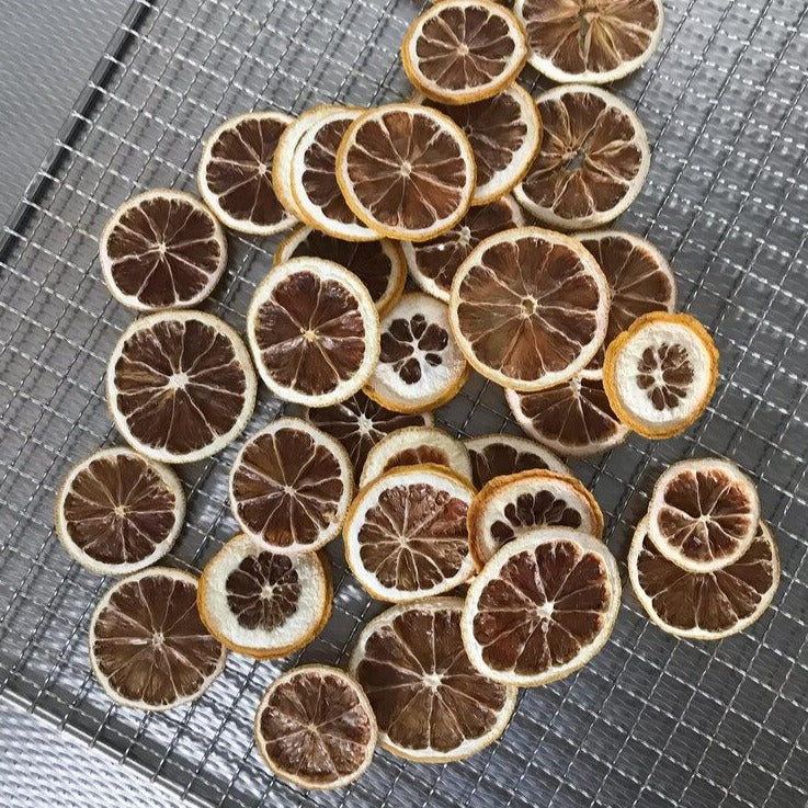 Lemon - Slices Dried 70g