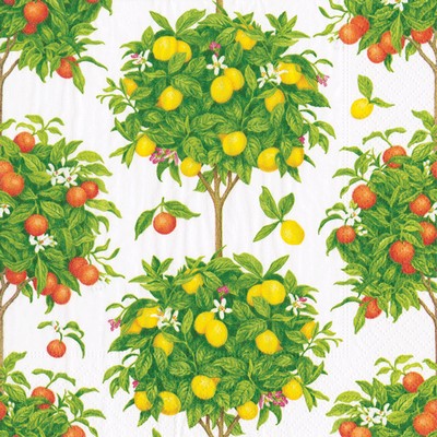 Conservatory - Citrus Topiaries White Lunch Napkins