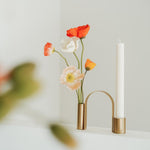 Arch Brass Holder