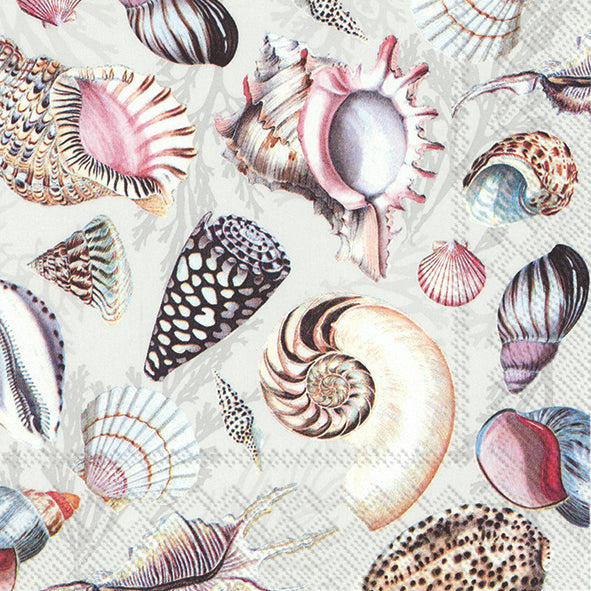 Nature - Sea Shells