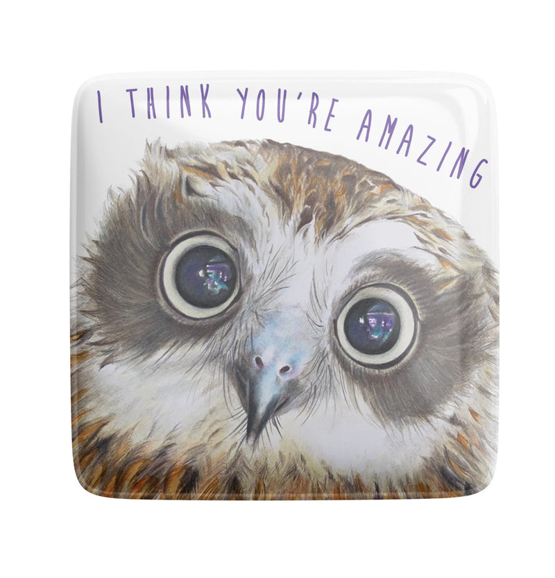 Fridge Magnet Amazing Owl