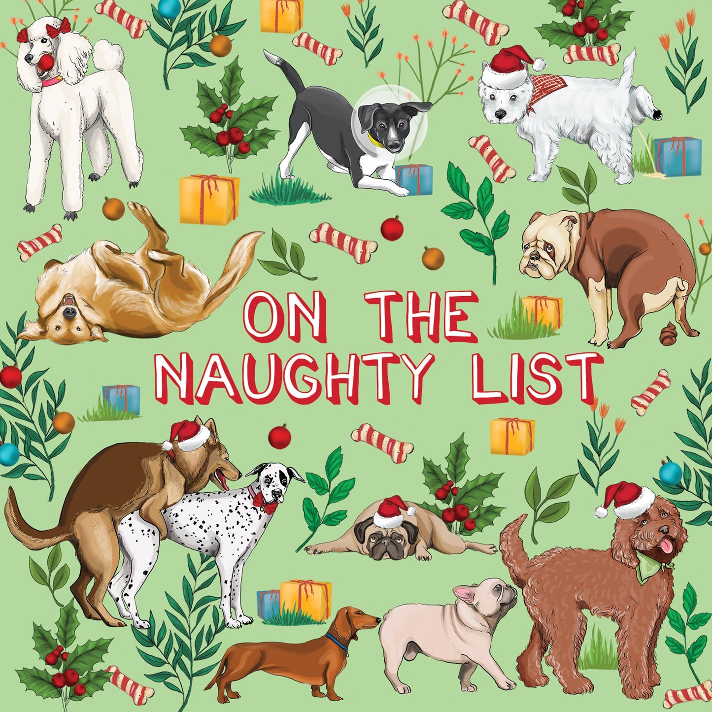 Greeting Card Naughty List