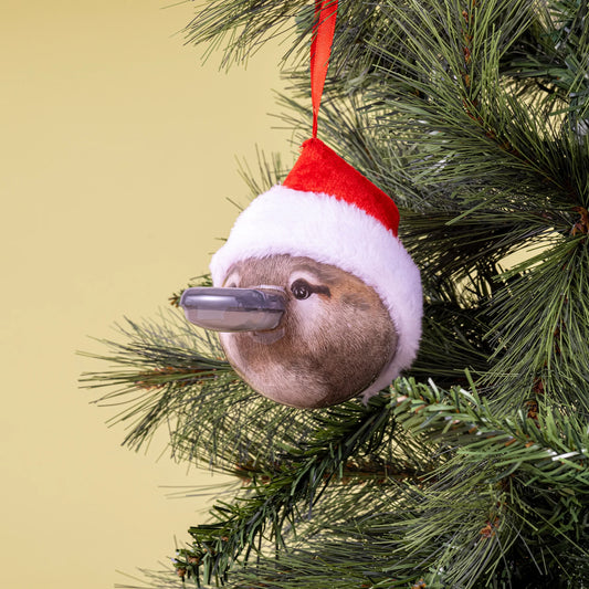 3D Bauble Platypus